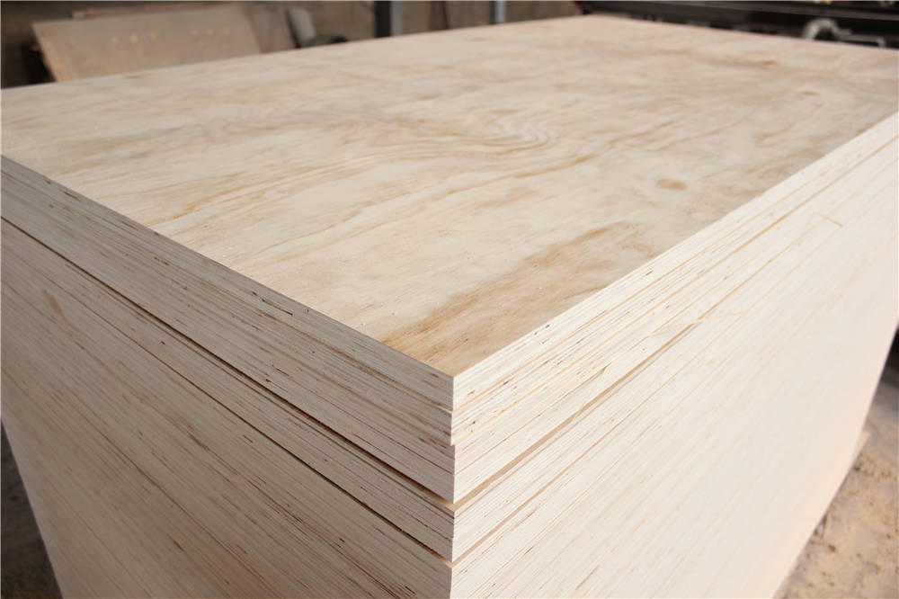 BC pine plywood (5).jpg