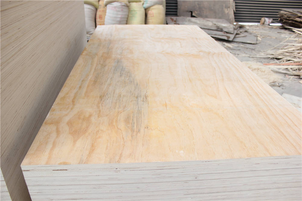 BC pine plywood (1).jpg
